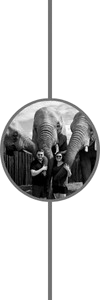 Timeline Icon